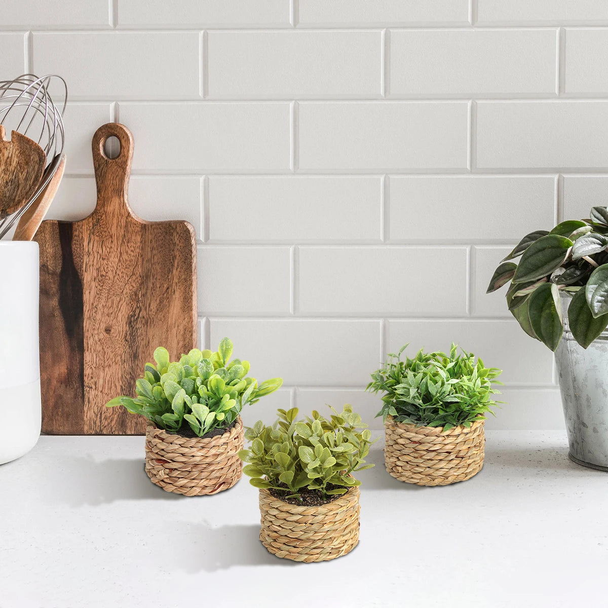 Artificial Eucalyptus Grass – Small Potted Plant for Home Decoration