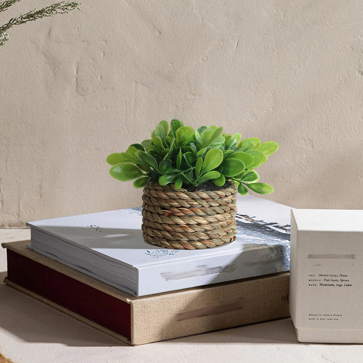 Artificial Eucalyptus Grass – Small Potted Plant for Home Decoration